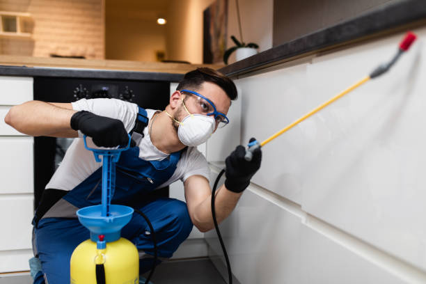 Best Flea Control Services  in Mars, PA