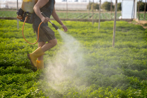 Best Pest Control for Homes  in Mars, PA