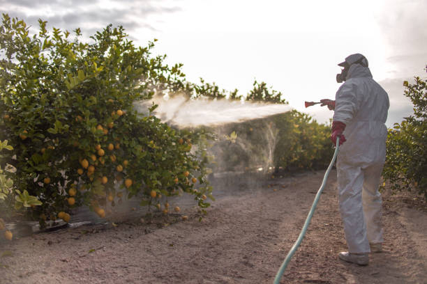 Wildlife Control Services in Mars, PA